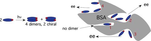 nishijima2007supramolecular.png