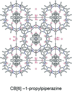 rekharsky2009supramolecular.png