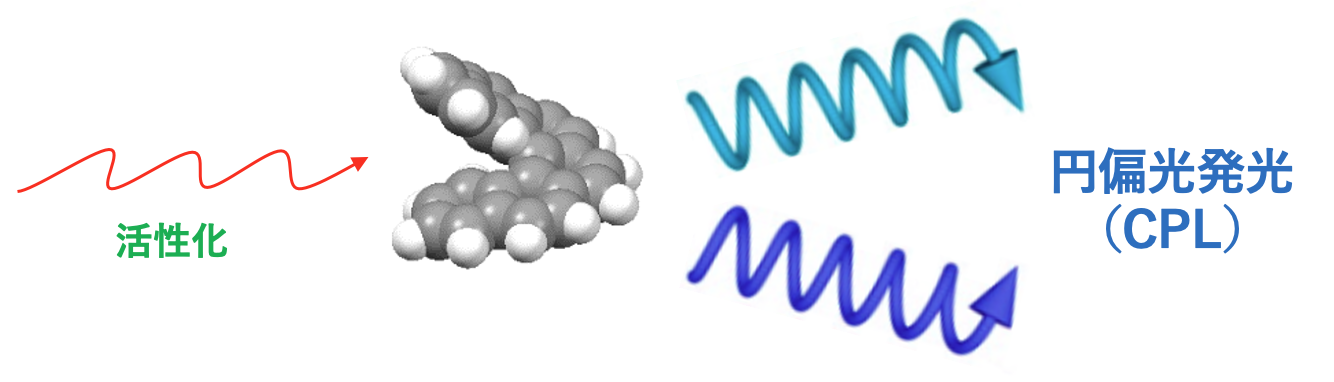Chiral luminescence and asymmetric photoreactions
